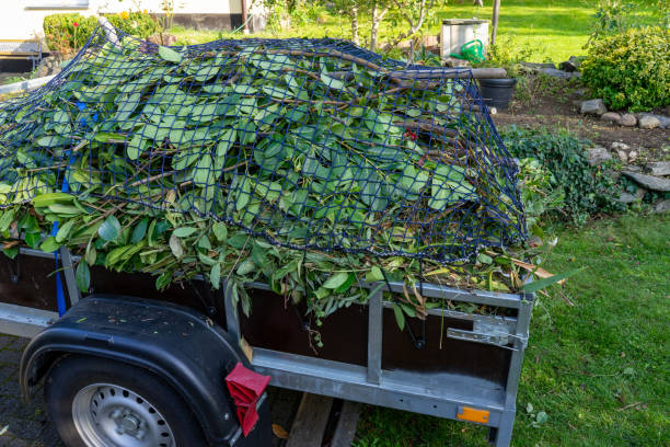 Professional Junk Removal Services in Randolph, NE